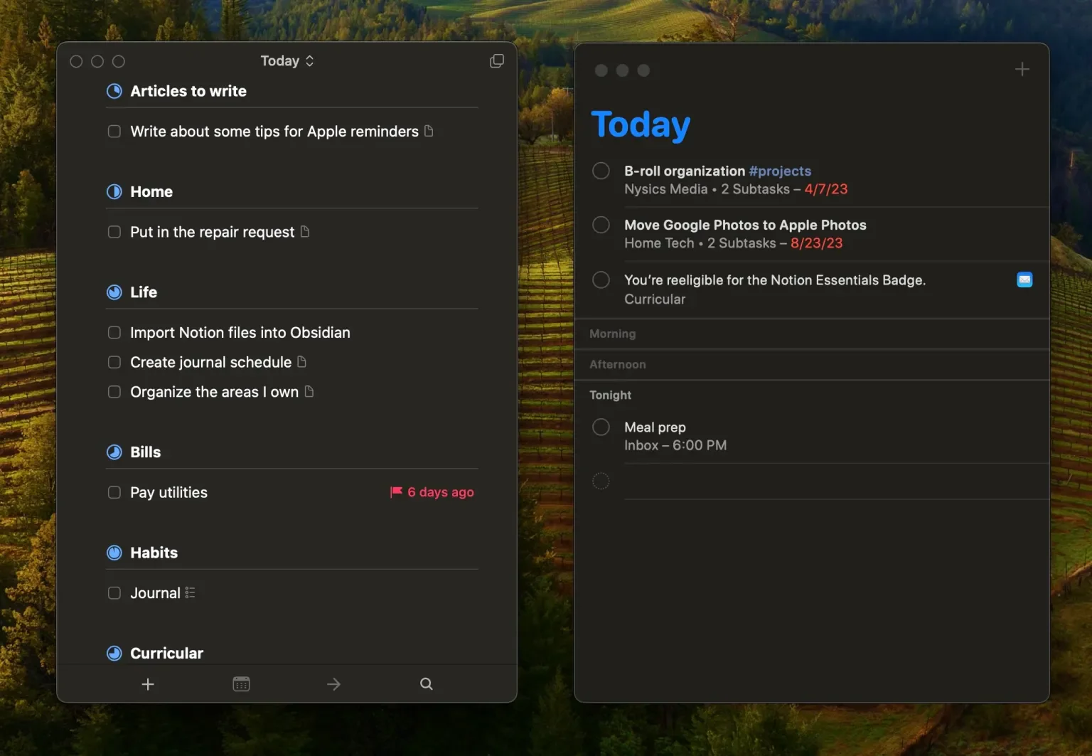 The Things interface on the left looks calmer, more neatly organized, and less overwhelming than the Reminders interface on the right, which looks busy, intimidating, and overwhelming. I might also note that there are far fewer tasks in the Reminders app, too. And yet it’s still overwhelming.